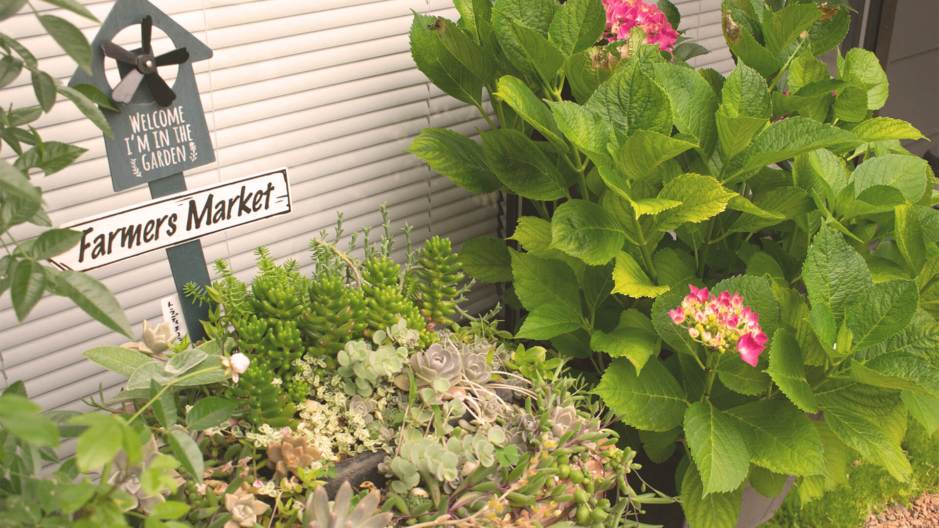 美容室外装のガーデニングの写真